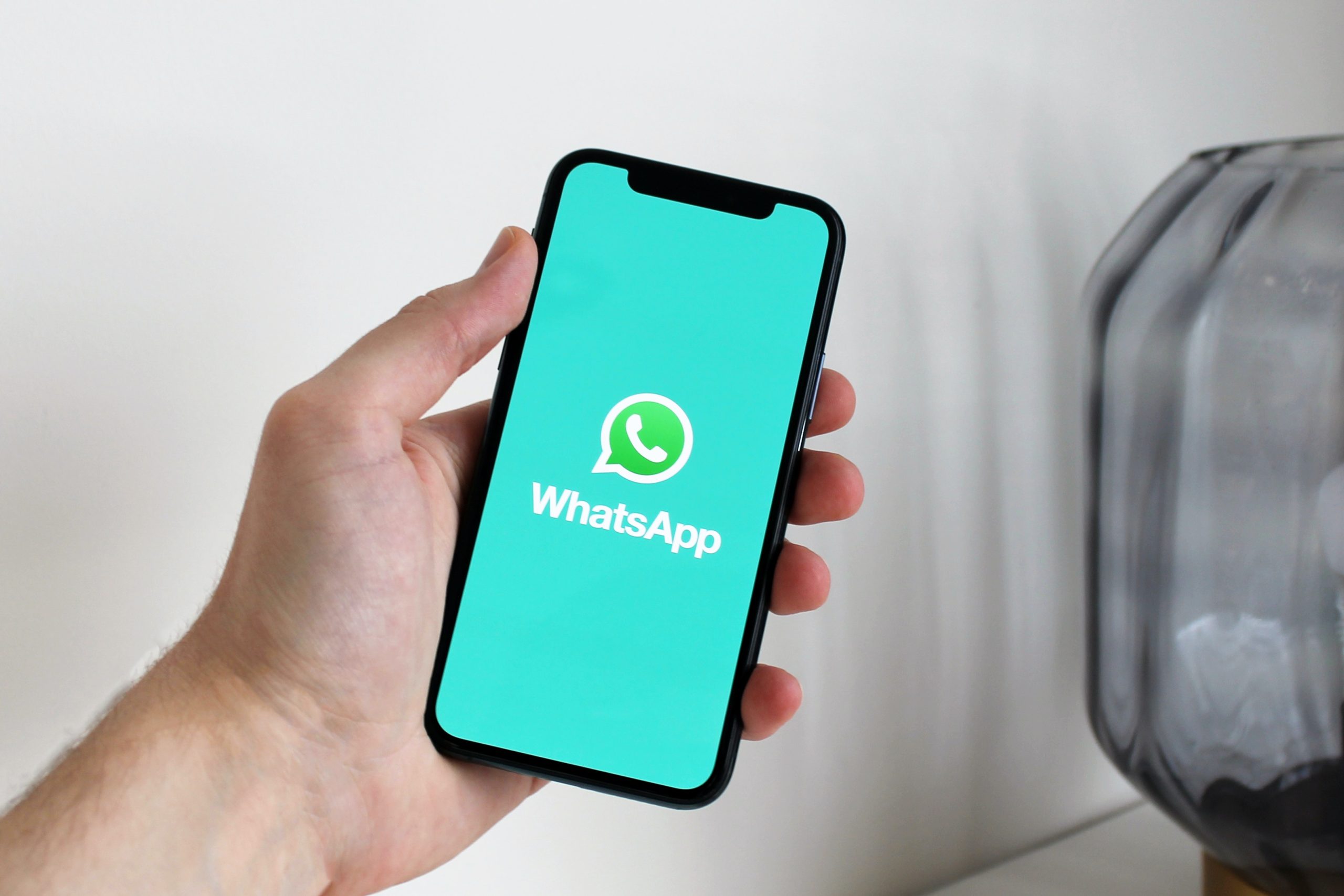 Disable WhatsApp Notifications